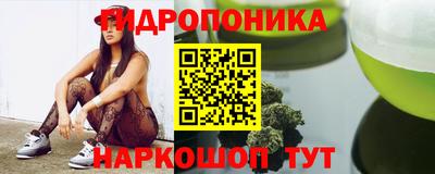 шишки Партизанск