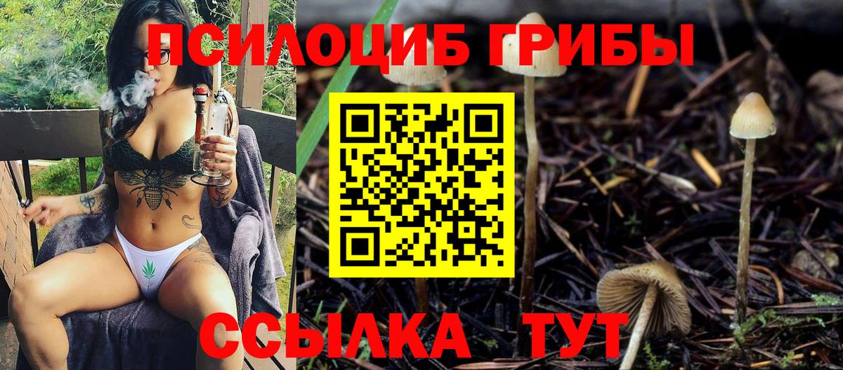 Сафоново  Галлюциногенные грибы мухоморы  Вход с VPN 