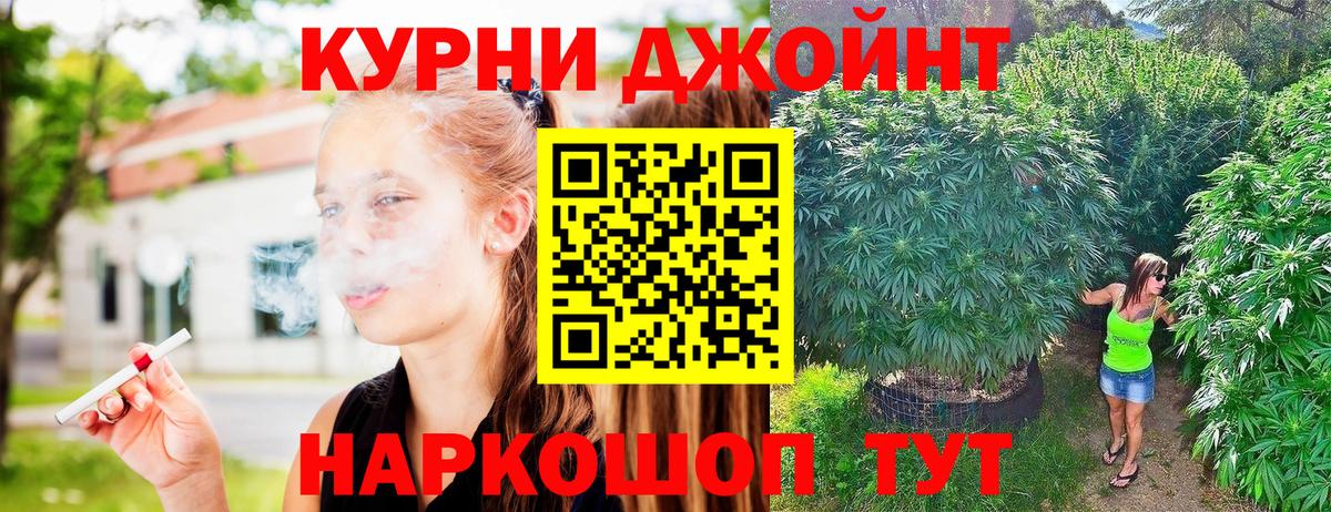 Канабис семена  Марихуана план  Вход с VPN  Бошки марихуана AK-47  Сафоново  Шишки марихуана сатива 